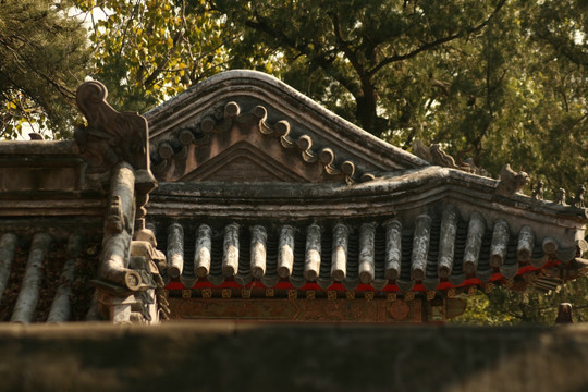 屋顶