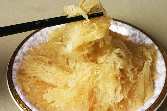 大鲍翅