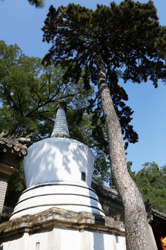 北京潭柘寺