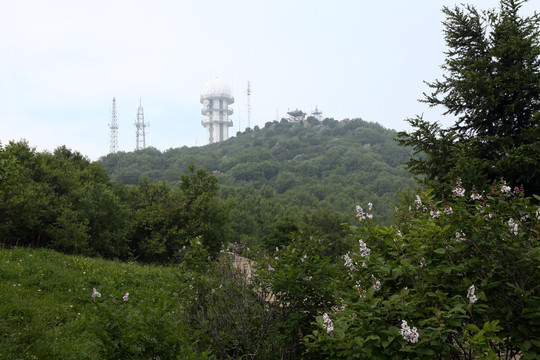 北京百花山