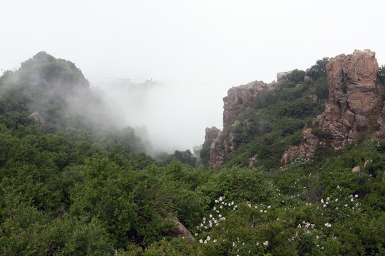 北京百花山