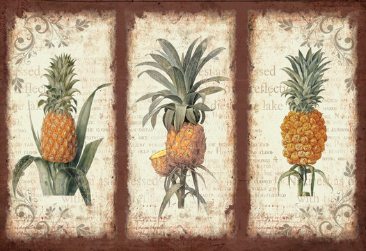 破旧无框画 水果 菠萝