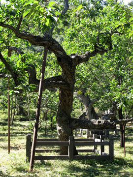 黄花城水长城风景区