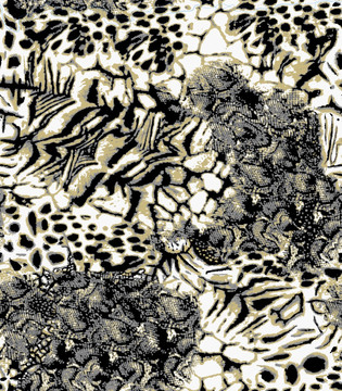 豹纹花（未分层）