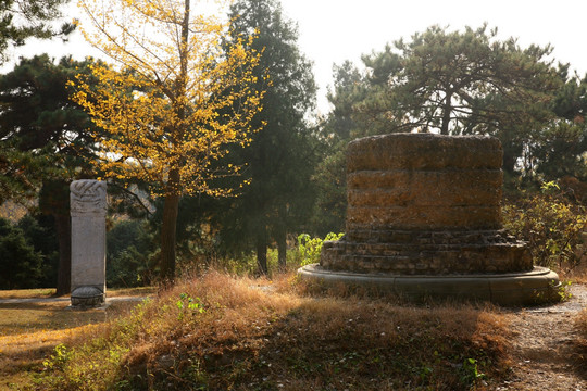 北京植物园