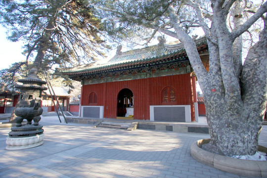 北京戒台寺