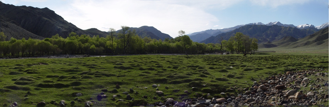 高山牧场