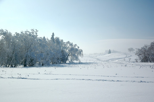 茫茫雪海背景