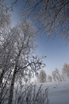 东北雪乡