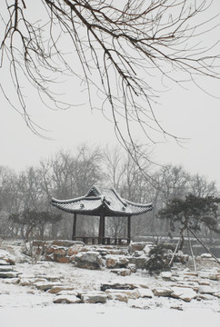 北宁公园的雪景