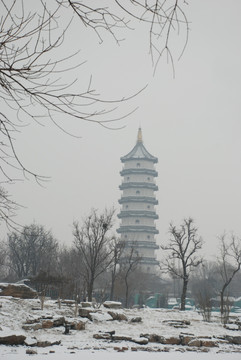 北宁公园的雪景