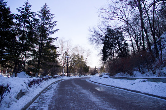 雪中庭院