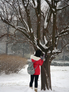 观雪