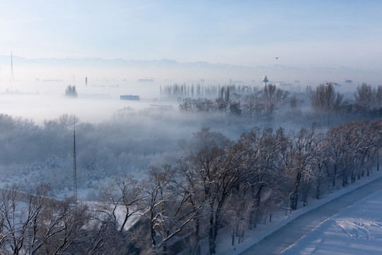 雪和雾