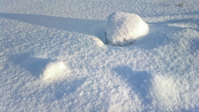 雪景