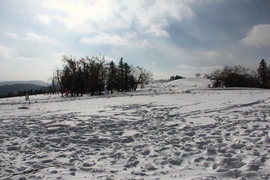 雪乡风景