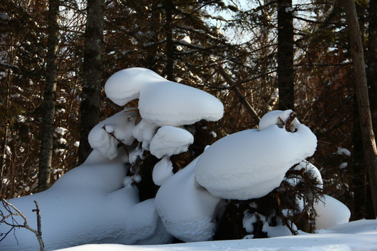 雪乡风景