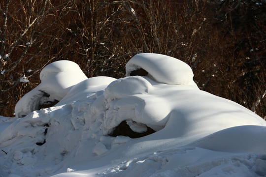 雪乡风景