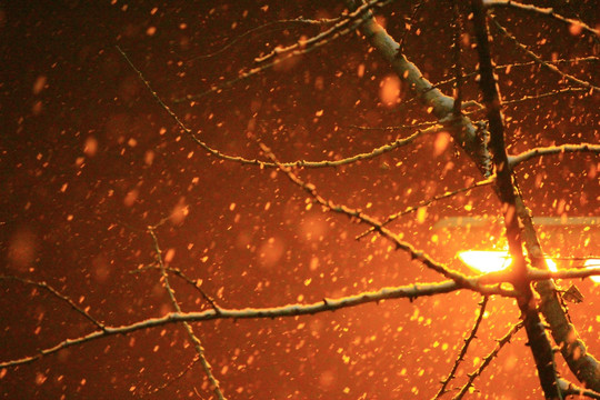 雪夜