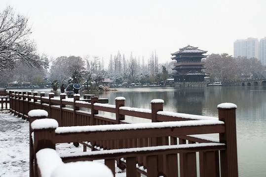 公园雪景