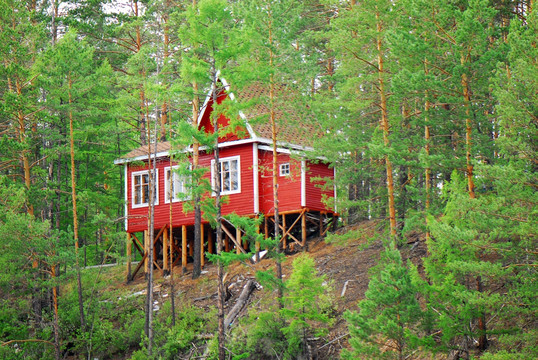森林 木屋别墅