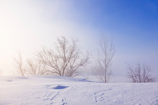 雪景