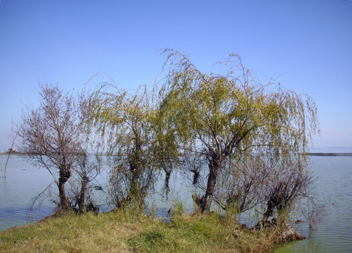 滇池湿地