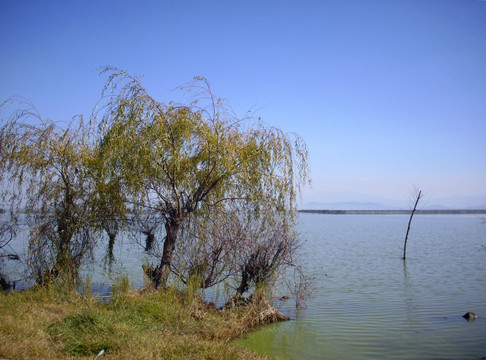 滇池湿地