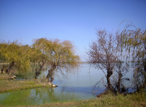 滇池湿地