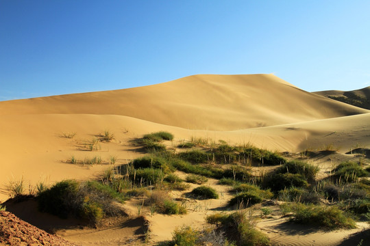 巴丹吉林沙漠