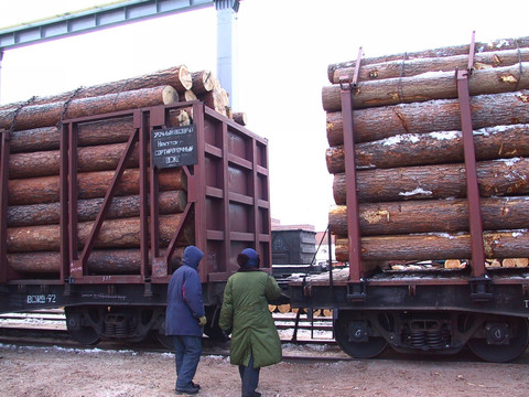 满洲里 进口的木材