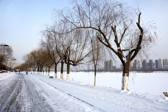 雪后景色