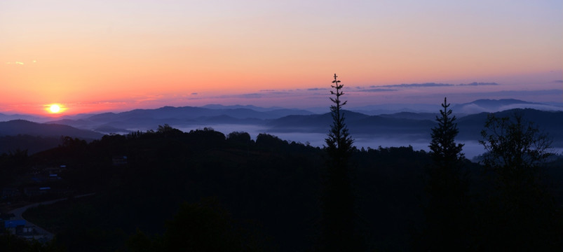 茶山的早晨