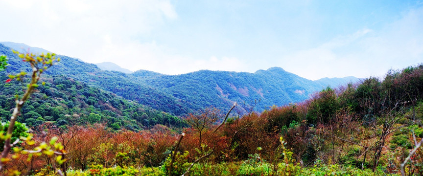 山川秀色