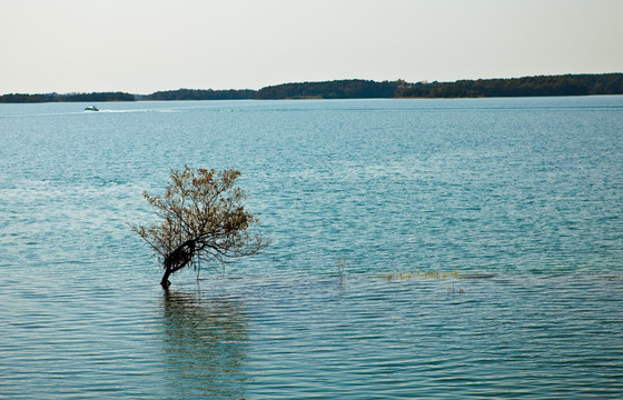 湖水