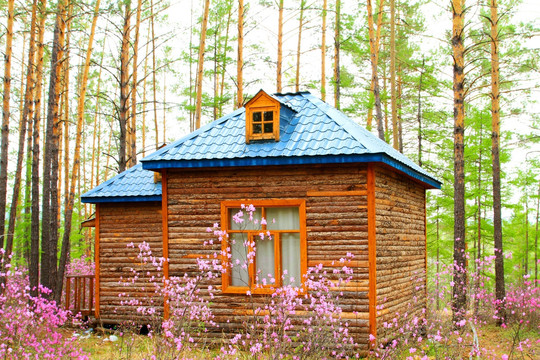 花丛木屋