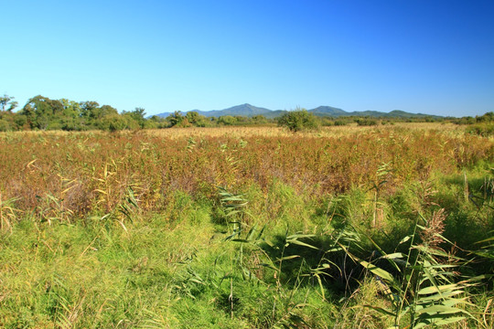 珍宝岛 雷区