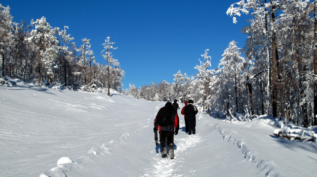 雪林如眠