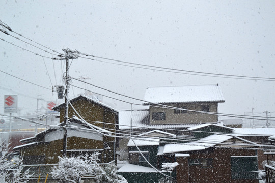 雪