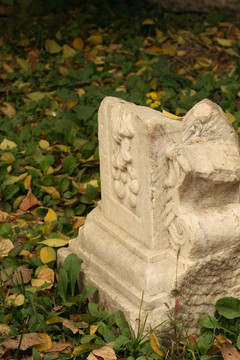圆明园