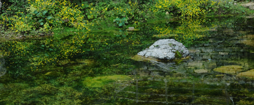 风景