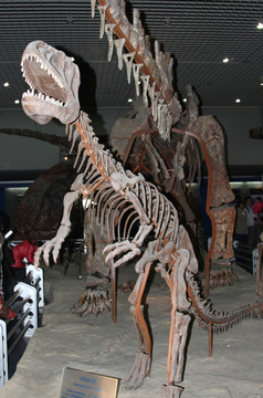 四川龙 恐龙 化石