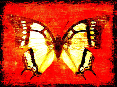 壁画 蝴蝶