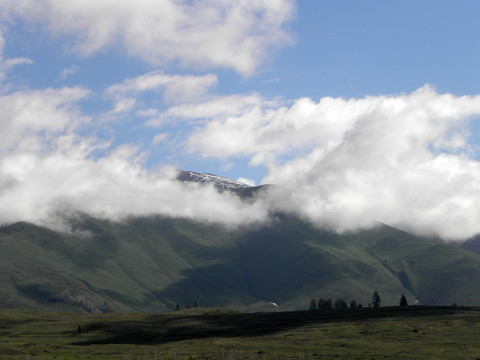 高山牧场