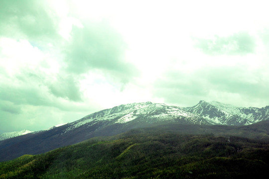 阿尔泰山