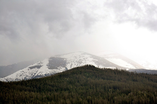 雪山森林