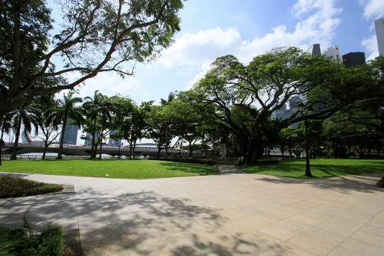 新加坡