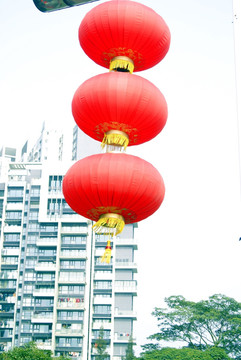 大红灯笼高高挂