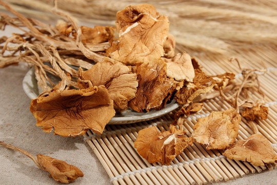 茶树菇
