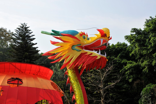 春节灯会 鲤鱼跳龙门